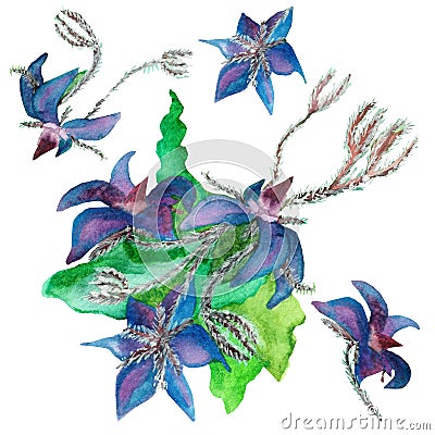 Watercolor hand painted nature floral herbal plant composition set with purple borage flowers Stock Photo