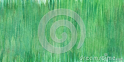 Watercolor hand painted nature forest meadow plant background with green grass abstract texture Stock Photo