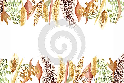 Watercolor hand painted nature grain field plants border banner with yellow, green and wheat, oats, barley, millet grain cereals Stock Photo