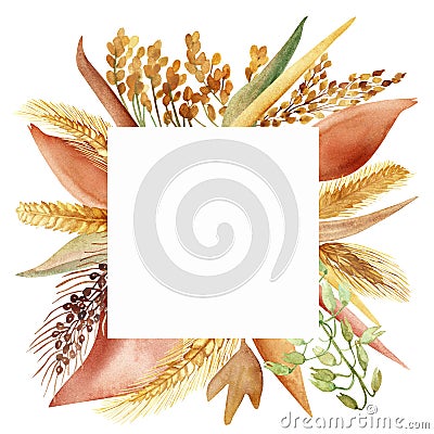 Watercolor hand painted nature grain field squared border frame with yellow, green and white, oats, barley, millet grain cereals a Stock Photo