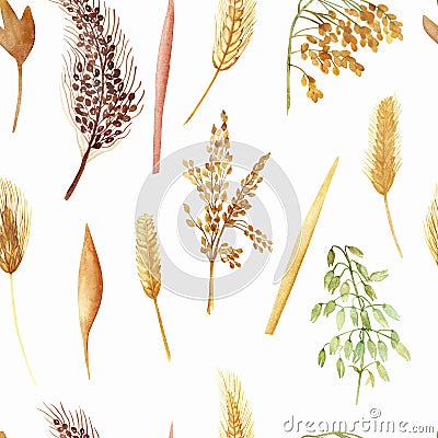 Watercolor hand painted nature grain fields plant seamless pattern with yellow, green and white, oats, barley, millet cereals Stock Photo