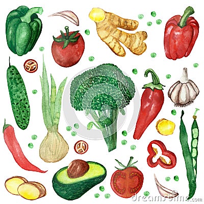 Watercolor hand painted nature healthy vegan food and herbal spices set composition with green broccoli, bell pepper, peas, cucumb Stock Photo