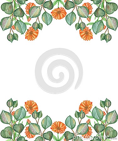 Watercolor hand painted nature herbal banner composition with orange calendula flowers and green eucalyptus leaves Stock Photo