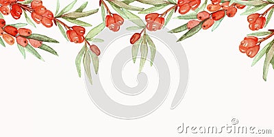 Watercolor hand painted nature herbal banner line with orange sea buckthorn and green leaves on branches bouquet Stock Photo