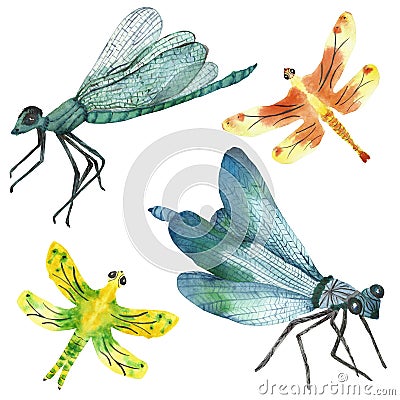 Watercolor hand painted nature insects set with blue, yellow green and orange dragonfly Stock Photo