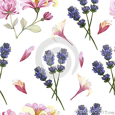 Watercolor hand painted nature meadow floral seamless pattern with pink honeysuckle, purple lavender blossom flowers and petals on Stock Photo
