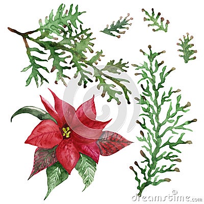 Watercolor hand painted nature plants set with red flower poinsettia, red and green leaves and green branches Stock Photo