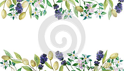 Watercolor hand painted nature provence border banner composition with purple lavender blossom flowers, green olives and white ber Stock Photo