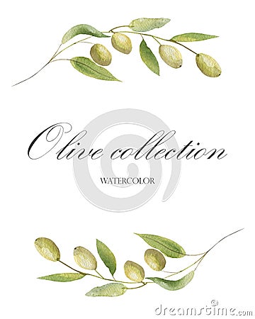Watercolor hand painted nature romantic frame composition with green olives and leaves on branch wreath and olive collection Stock Photo