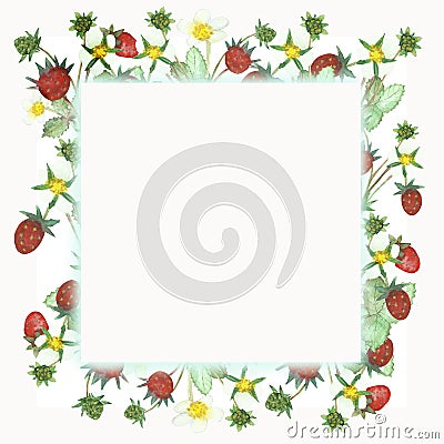 Watercolor hand painted nature squared border frame with red wild strawberries, white blossom flowers and green leaves on branches Stock Photo