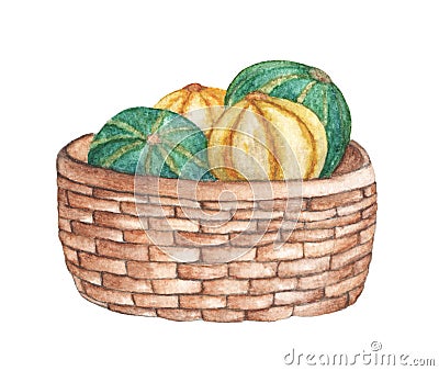 Watercolor hand painted orange and green pumpkins in a basket. Stock Photo