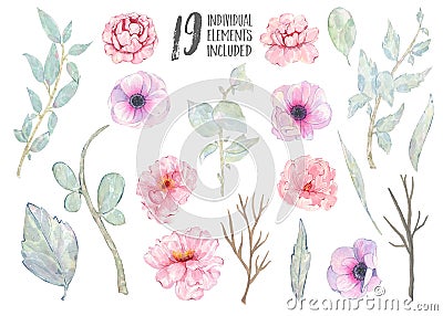 Watercolor hand painted pink anemone peony green leaves branch isolated on white background Cartoon Illustration