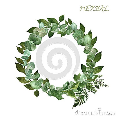 Watercolor hand painted round border with eucalyptus plant, fern leaf and forest wild plants, isolated on white background. Cartoon Illustration