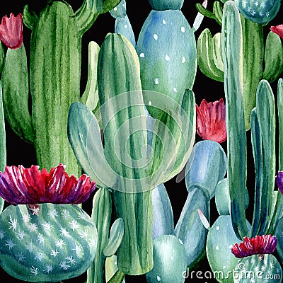 Watercolor hand painted seamless pattern with different cactuses and flowers on black background Stock Photo