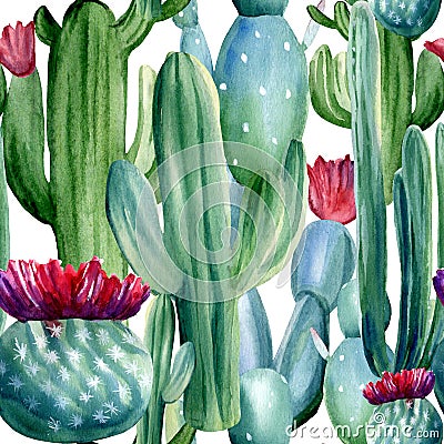 Watercolor hand painted seamless pattern with different cactuses on white background Stock Photo