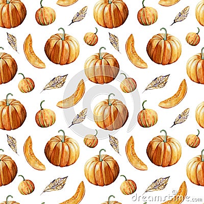 Watercolor hand painted seamless pattern with ripe orange pumpkins and feathers on white background Stock Photo