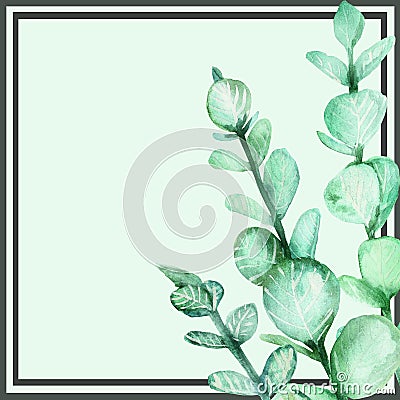 Watercolor hand painted squared frame with black border strips, green eucalyptus branches with leaves and light green background Stock Photo