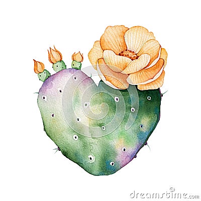 Watercolor handpainted cactus plant isolated on white background. Stock Photo