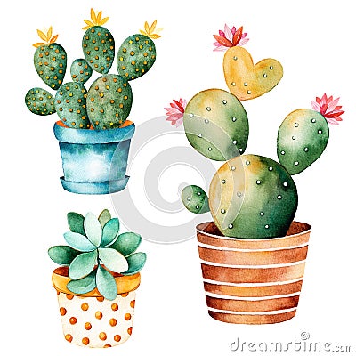 Watercolor handpainted cactus plant and succulent plant in pot. Stock Photo