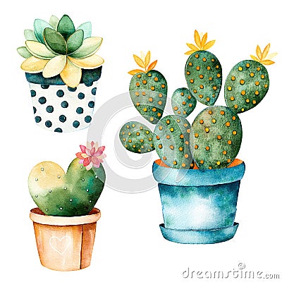 Watercolor handpainted cactus plant and succulent plant in pot. Stock Photo