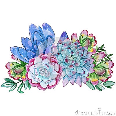 Watercolor handpainted succulent plant composition Stock Photo