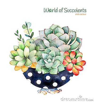 Watercolor handpainted succulent plant in painted pot and cactus flowering. Cartoon Illustration