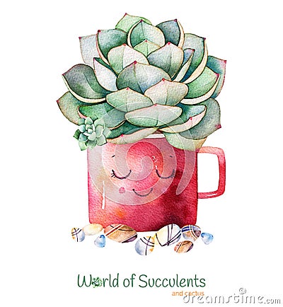 Watercolor handpainted succulent plant in pot and pebble stone. Stock Photo