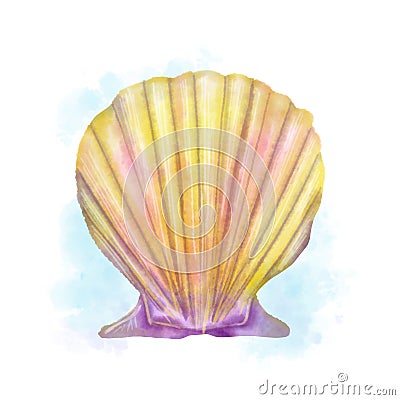 Watercolor handpaintrd seashell scallop Stock Photo