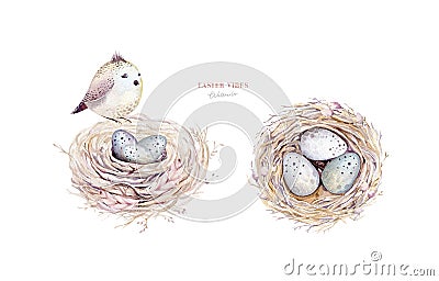 Watercolor happt easter nest with bird eggs with branch and feather isolated on white. Spring hand drawn illustration. Boho egg Cartoon Illustration