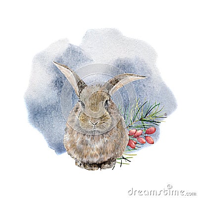 Watercolor hare in winter forest. Hand painted animal illustration with rabbit and pine tree, berries isolated on whit Cartoon Illustration