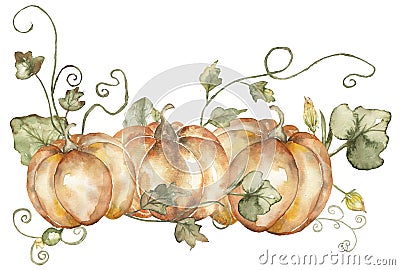 Watercolor harvest scene with pumpkin, flowers and leaves bouquet clipart. Fall decor composition for Thanksgiving, autumn Cartoon Illustration