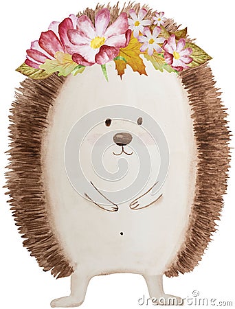 Watercolor hedgehog clipart Stock Photo