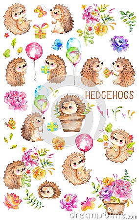 Watercolor Hedgehogs. Babies. Watercolor little animal clipart Stock Photo