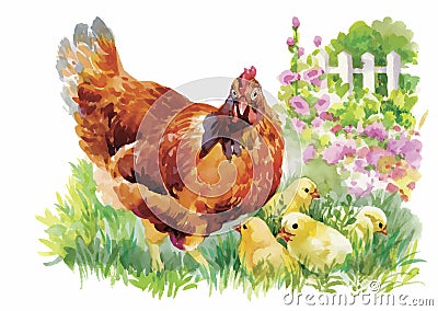 Watercolor Hen and chicks in yard vector illustration Vector Illustration