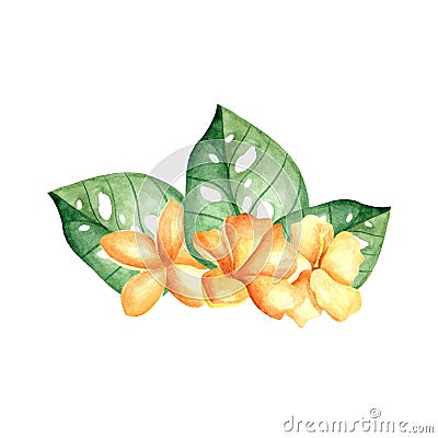 Watercolor hibiscus. Yellow tropical plants with leaves. Stock Photo