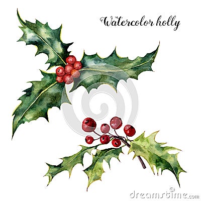 Watercolor holly set. Hand painted holly branch with red berry isolated on white background. Christmas botanical clip Stock Photo