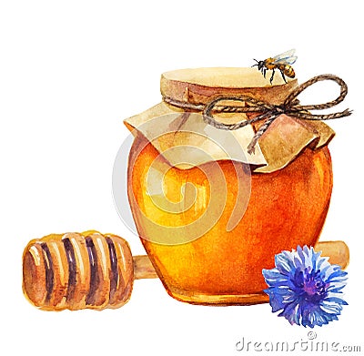 Watercolor Honey jar and honey stick Vector Illustration