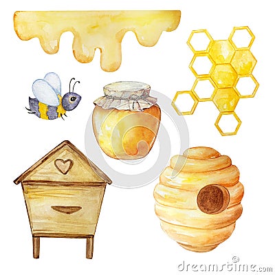 Watercolor honey set, beehive, honey, bees and honeycombs Vector Illustration