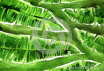 Watercolor green and blue banana leaves pattern. Stock Photo