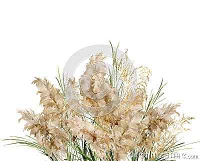 Watercolor horizontal bouquet of green and gold linear pampas grass. Hand painted exotic card of dry plant isolated on Cartoon Illustration