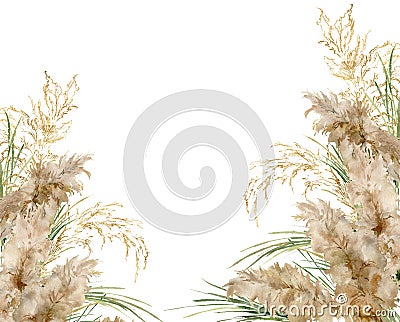 Watercolor horizontal frame of gold and green pampas grass. Hand painted linear border of exotic dry plant isolated on Cartoon Illustration