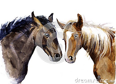 Watercolor horse. pets animal illustration Stock Photo