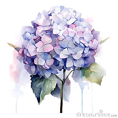 Watercolor hydrangea bouquet. Hand painted watercolor illustration. Cartoon Illustration