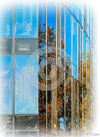 Abstract section of a modern building with a glass facade in which a tree is reflected Cartoon Illustration