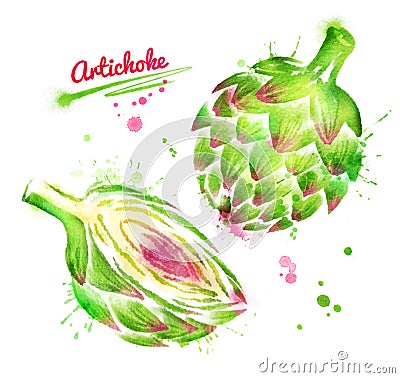 Watercolor illustration of artichoke Cartoon Illustration