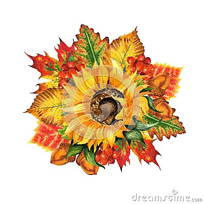 Watercolor illustration of an autumn bouquet of sunflower and leaves of oak, maple, elm, birch, rowan berries and acorns. Vector Illustration