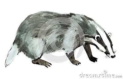 Watercolor illustration of badger in white background. Cartoon Illustration