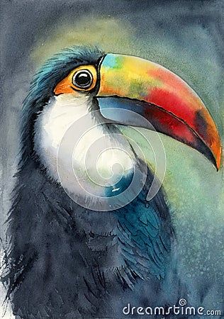 Watercolor illustration of a beautiful toucan with a colorful red-orange large beak and black feathers Cartoon Illustration
