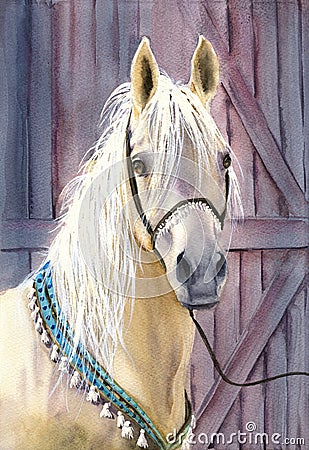Watercolor illustration of a beautiful white horse with a turquoise harness adorned with white tassels Cartoon Illustration