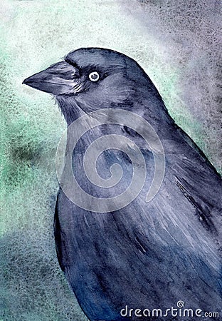 Watercolor illustration of a black jackdaw bird Cartoon Illustration